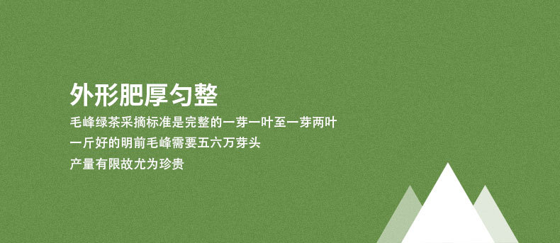毛峰绿茶60详情_08