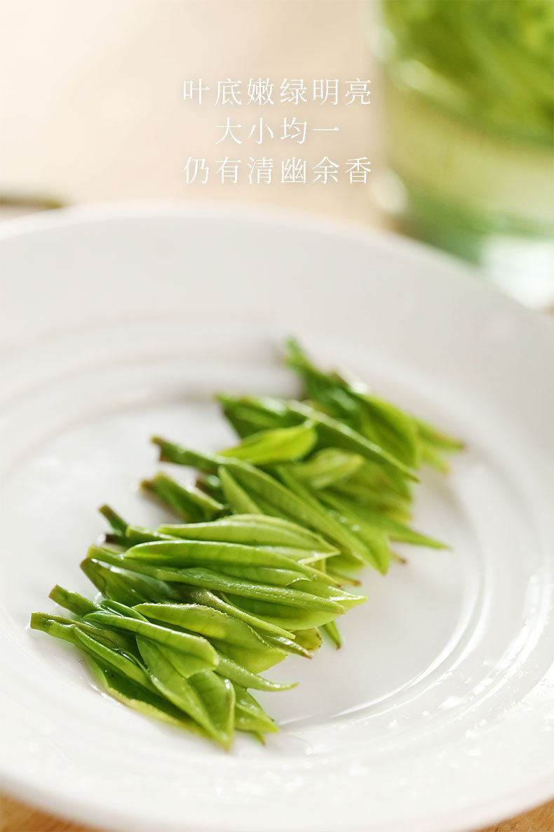 白茶毛峰